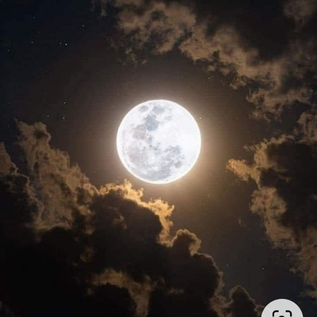 Александр Дорофеев